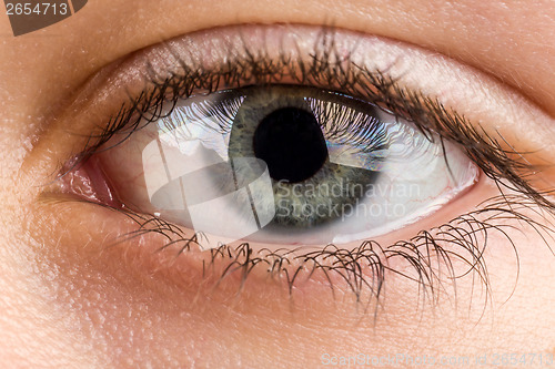 Image of teenager eye macro