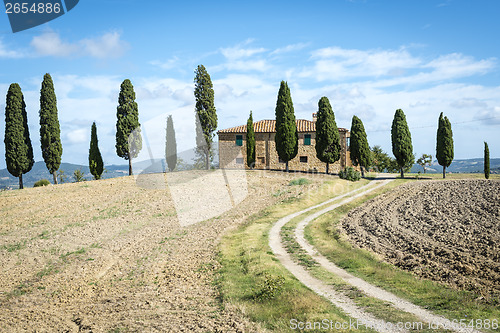 Image of Landscape Tuscany