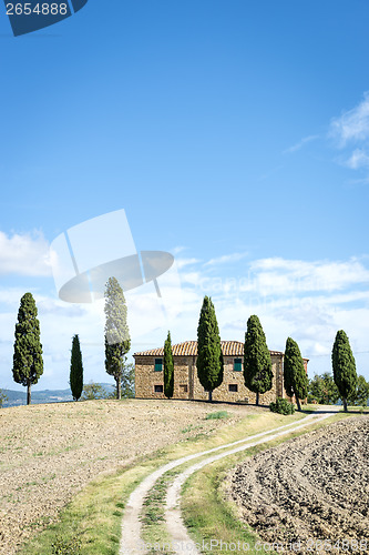 Image of Landscape Tuscany