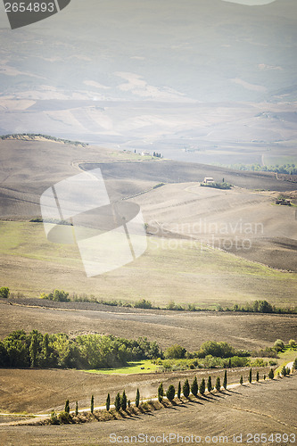Image of Landscape Pienza