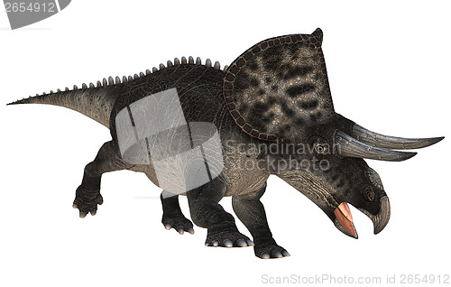 Image of Dinosaur Zuniceratops