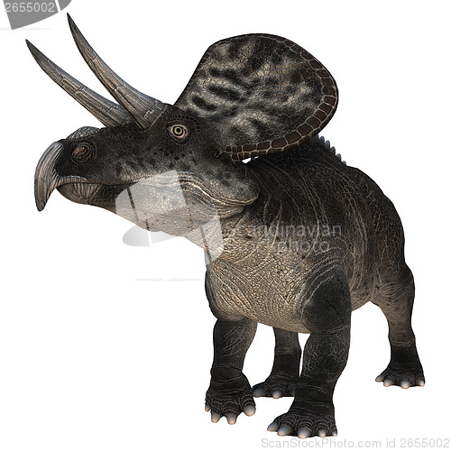 Image of Dinosaur Zuniceratops