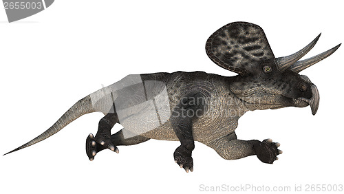 Image of Dinosaur Zuniceratops