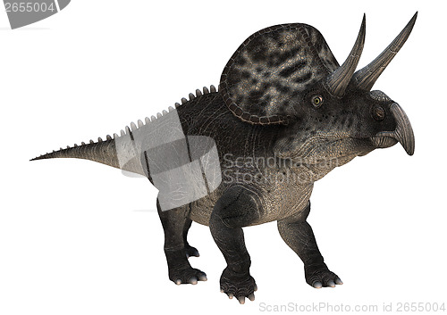 Image of Dinosaur Zuniceratops