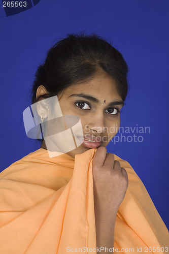 Image of 382 India Teen