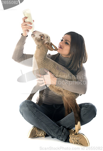 Image of young lamb sucking