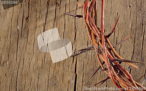 Image of crown of thorns