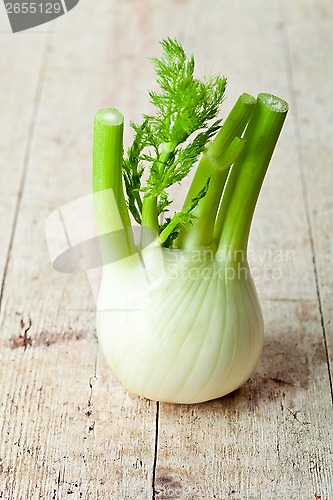 Image of fresh organic fennel 