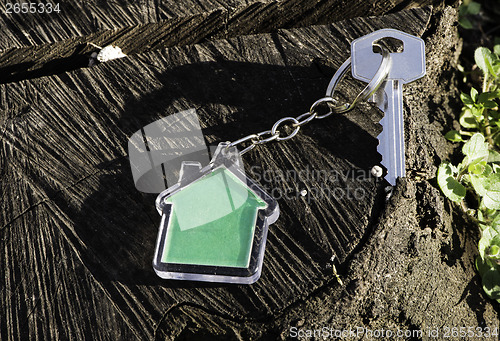 Image of Keychain in a shape of house