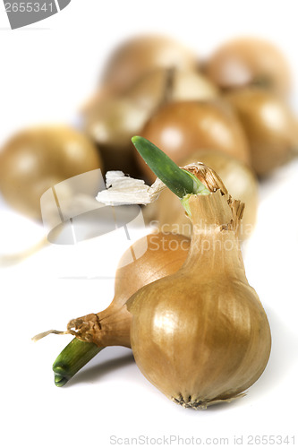 Image of Small onions