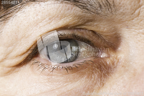 Image of Close up old women eye