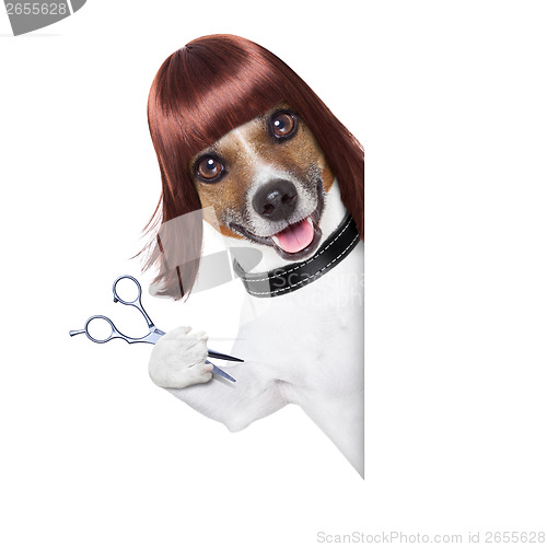 Image of hairdresser dog 