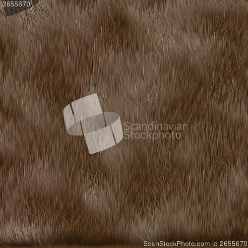 Image of brown dog fur texture