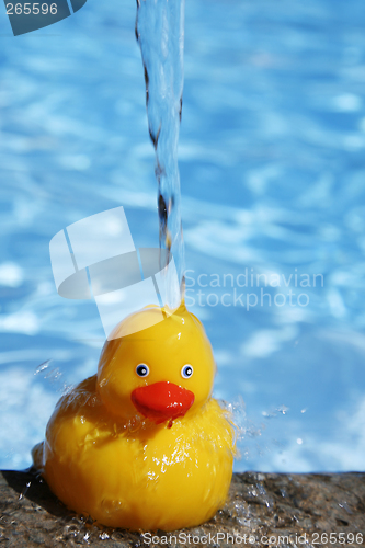 Image of Fresh Duckie