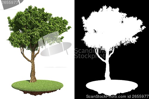 Image of Green Tree Isolated on White Background.