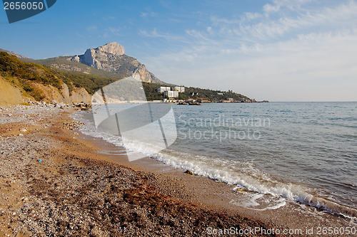 Image of Sea Shore