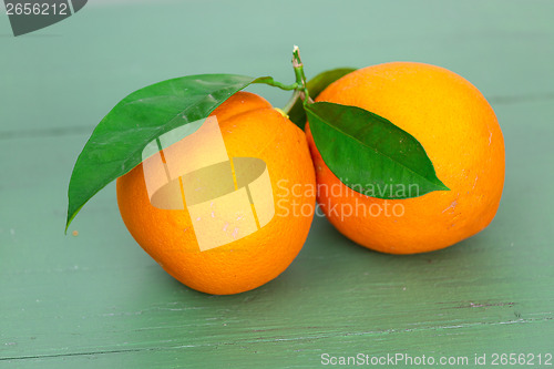 Image of Two big Oranges with Leaves