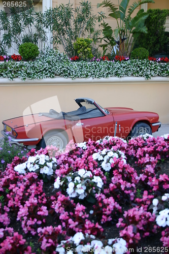 Image of Red sports car among flowers