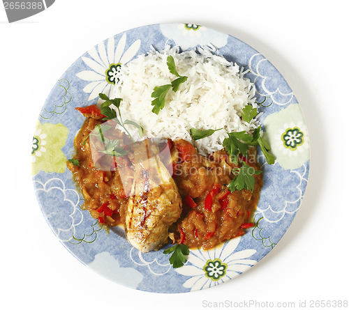 Image of Chicken with sauce and rice from above