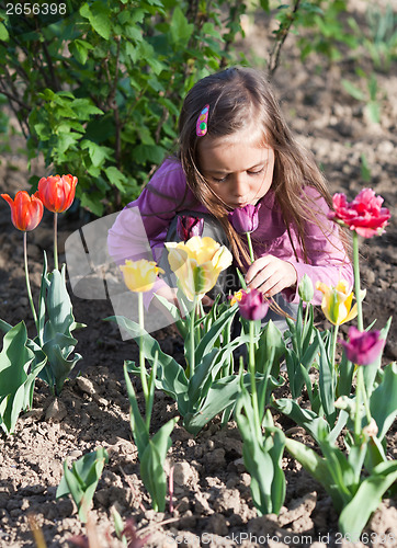 Image of Little girl with tulips