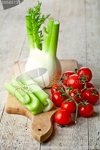 Image of fresh organic fennel, celery and tomatoes