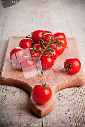 Image of fresh tomatoes