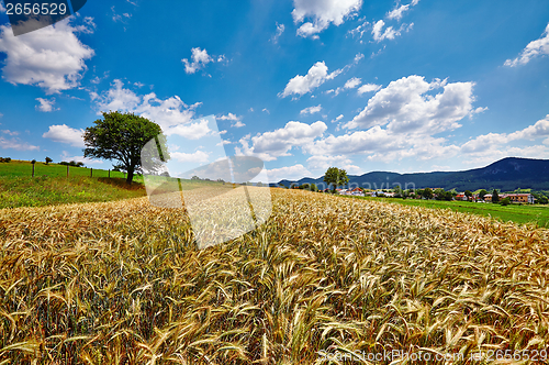 Image of Agriculture