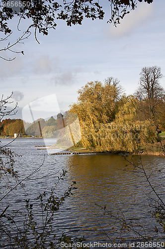 Image of autumn trees