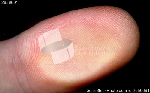 Image of finger and fingerprint