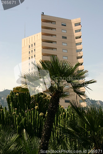 Image of Building in Monaco with palm tree in front