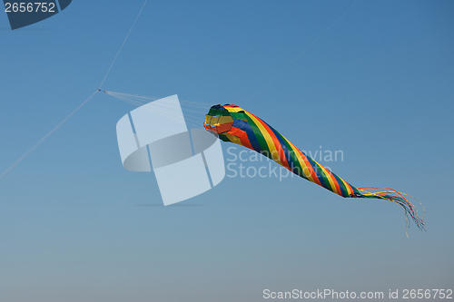 Image of Kite in the air