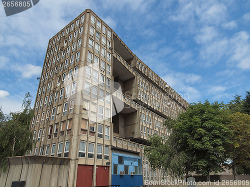 Image of Robin Hood Gardens London