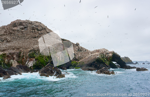 Image of mountain top with bird sanctuary at Seven Islands