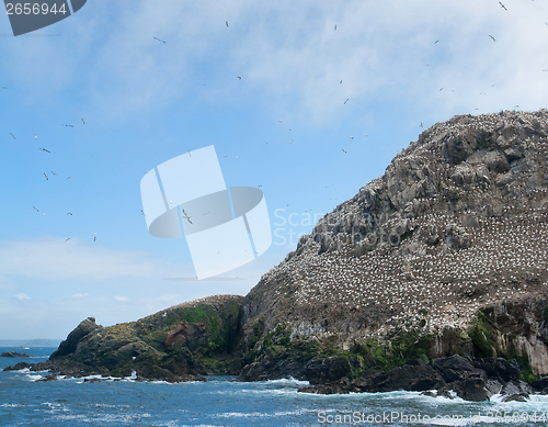 Image of bird sanctuary at Seven Islands