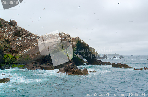 Image of bird sanctuary at Seven Islands