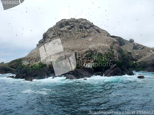 Image of bird sanctuary at Seven Islands