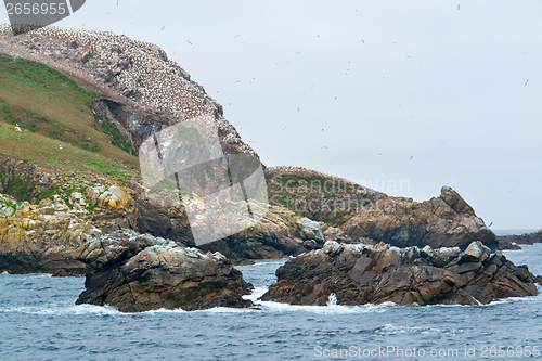 Image of hugebird sanctuary at Seven Islands