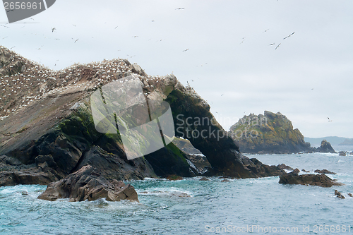 Image of part of a bird sanctuary at Seven Islands