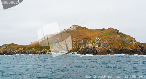 Image of a distant bird sanctuary at Seven Islands