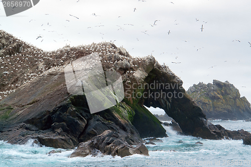 Image of bird sanctuary at Seven Islands