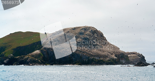 Image of distant bird sanctuary at Seven Islands