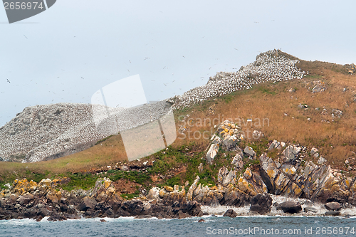 Image of bird sanctuary at the Seven Islands