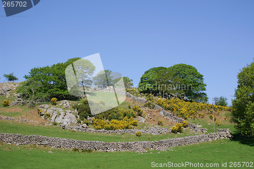 Image of rural scene and blue sky