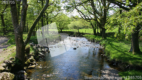 Image of river scene