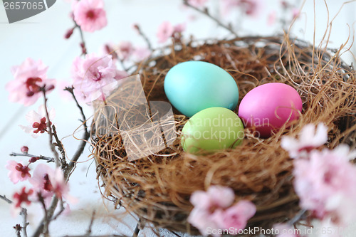 Image of Easter Holiday Themed Still Life Scene in Natural Light