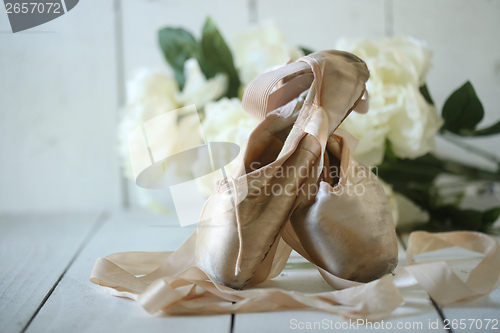 Image of Posed Pointe Shoes in Natural Light 