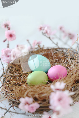 Image of Easter Holiday Themed Still Life Scene in Natural Light