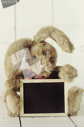 Image of Teddy Bear Like Home Made Bunny Rabbit on Wooden White Backgroun