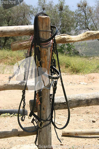 Image of Bridle hanging on a pole