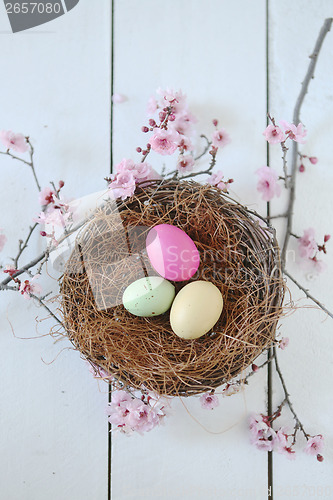 Image of Easter Holiday Themed Still Life Scene in Natural Light